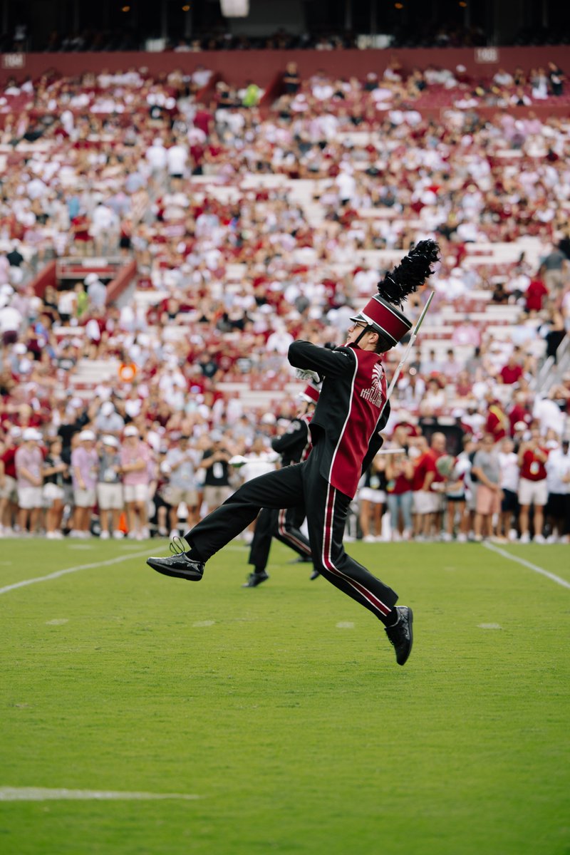 University of South Carolina tweet media
