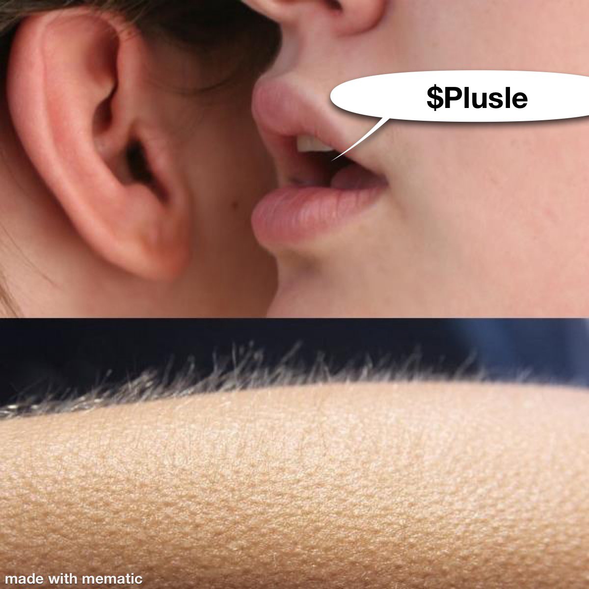 $Plusle to Pulse