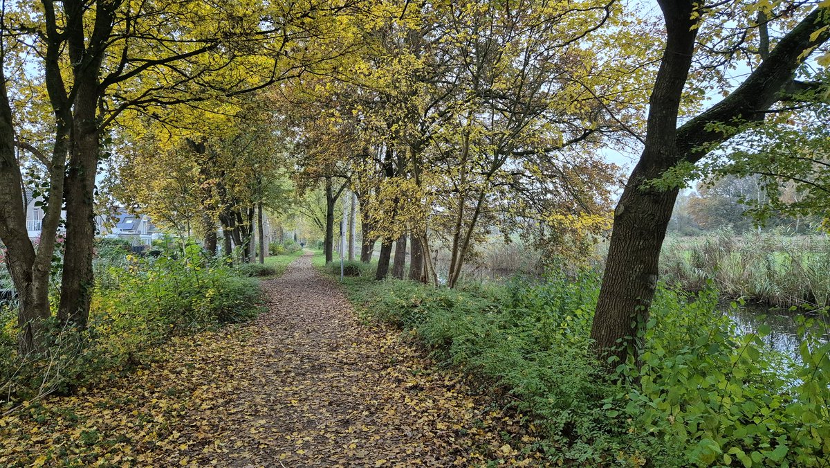 Cor Revet tweet media