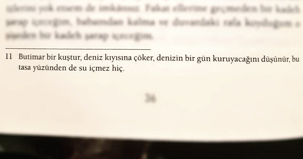 *Butimar bir kuştur, deniz kıyısına çöker, denizin bir gün kuruyacağını düşünür, bu tasa yüzünden de su içmez hiç.