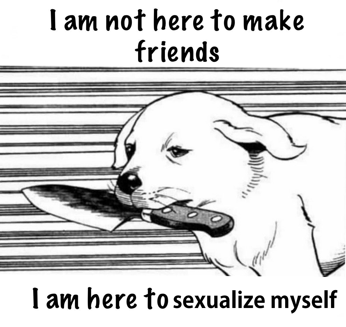 (open to friends as well) 
