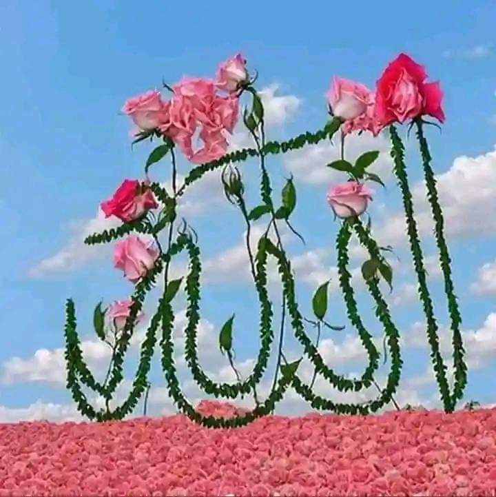 🥀🥀Good Night all friends🥀🥀

🌒🌒Have a sweet dream🌒🌒
🌺🌺Allaha bless you always🌺🌺