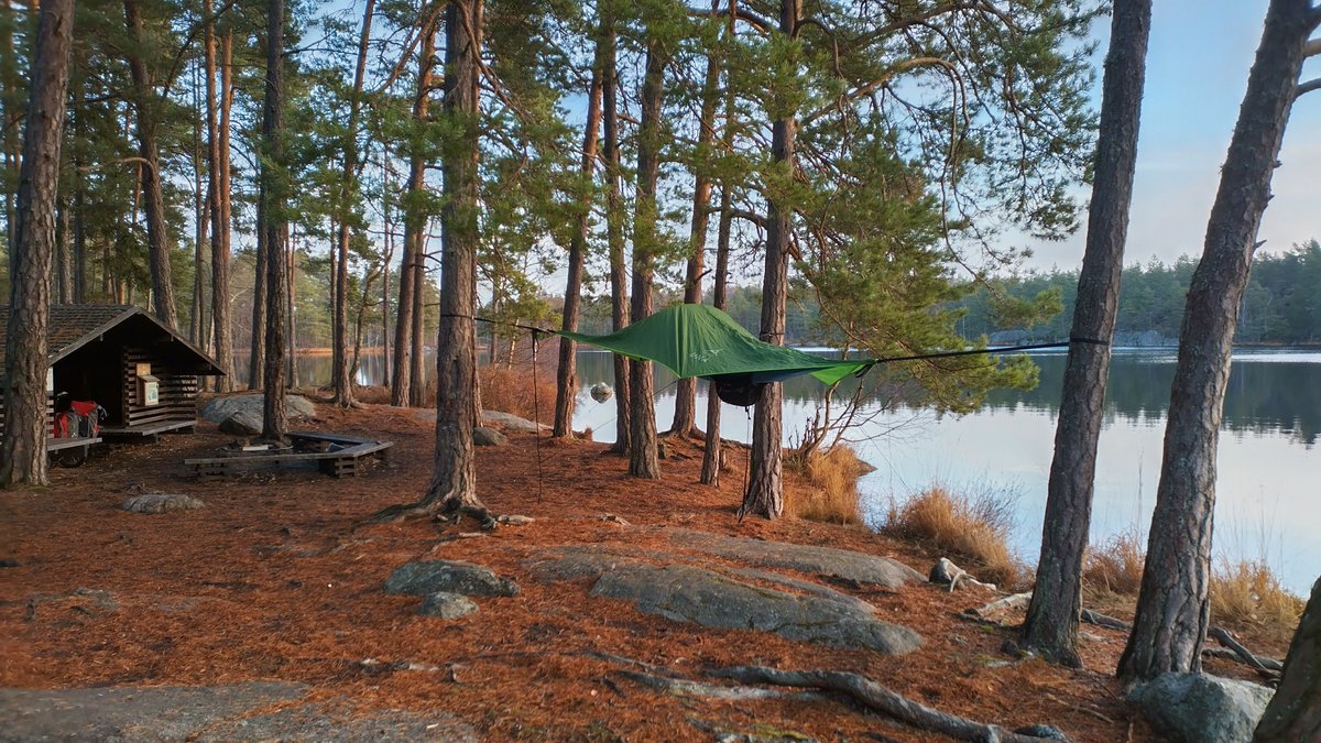 In between all that talking, writing and travelling, I have found a sweet spot of peace in Tyresta National Park, Sweden