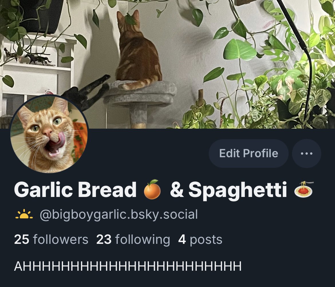 bigboygarlic's tweet photo. gamorney!!! we ar on the buberfly ap now!!! we wille stille be posteing heer but not as muche :D https://t.co/BCk6LdWl1E