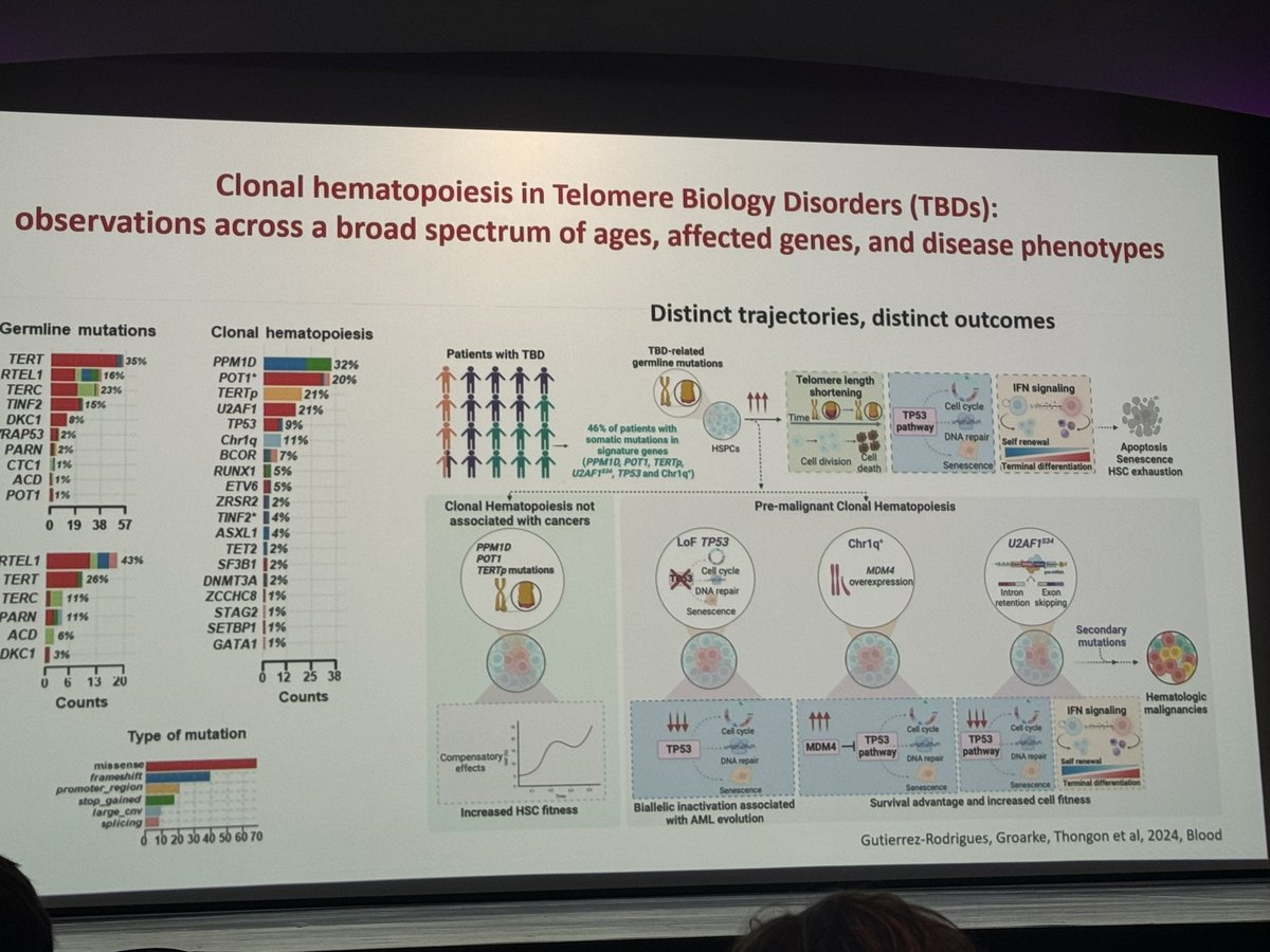 Emma M. Groarke tweet media