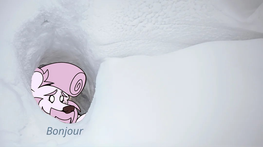 ❄️ Icesidio ❄️ 🔞 tweet media