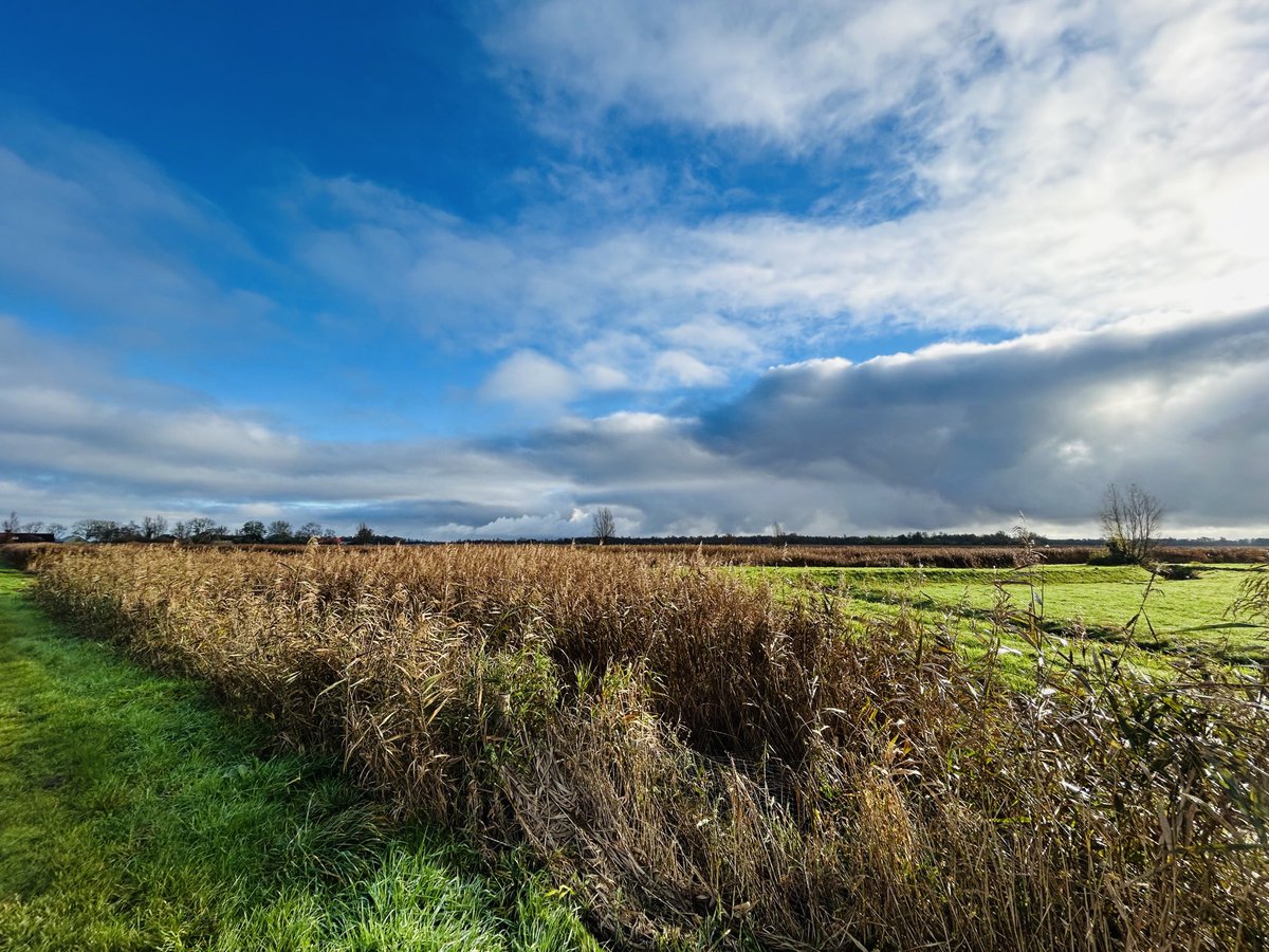 Best een mooie dag vandaag bij Nederland in NP Weerribben-Wieden