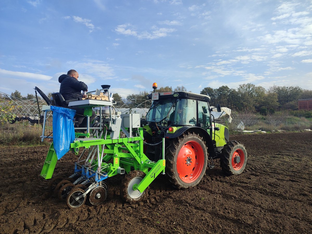 Estación Experimental Aprisco (@apriscoc) on Twitter photo #LegumES pilot with #chickpea, #grasspea, #pea and white #lupin sown, <a href="/COUSIN_project/">COUSIN project</a> field trial with #rapeseed, #wheat and #barley populations sown and now waiting to see the outcome. <a href="/HorizonEU/">Horizon Europe 🇪🇺</a> <a href="/IICG_URJC/">IICG-URJC</a> #LegumES pilot with #chickpea, #grasspea, #pea and white #lupin sown, <a href="/COUSIN_project/">COUSIN project</a> field trial with #rapeseed, #wheat and #barley populations sown and now waiting to see the outcome. <a href="/HorizonEU/">Horizon Europe 🇪🇺</a> <a href="/IICG_URJC/">IICG-URJC</a>