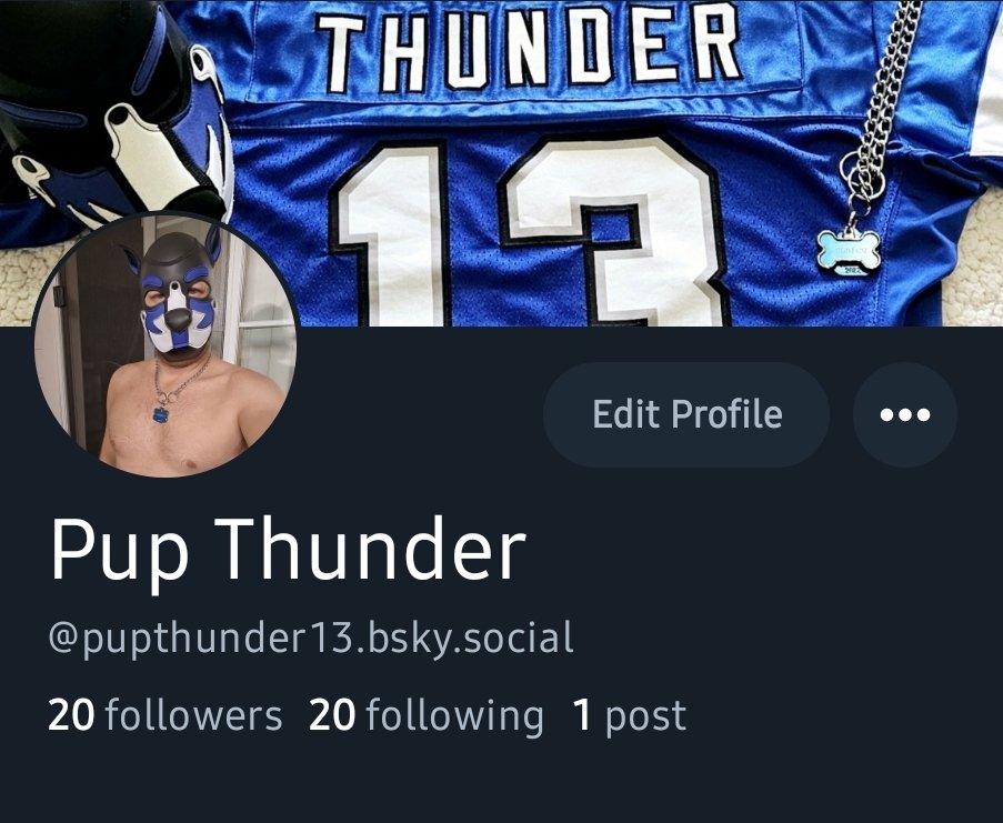 Pup Thunder tweet media