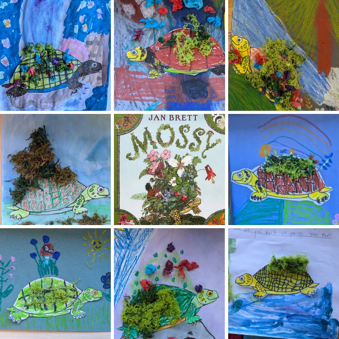 Mrs_Hall7's tweet photo. Grade 2 students brought Mossy to life! 🌿✨ Inspired by Jan Brett's heartwarming tale, they used mixed media and real moss to craft their own enchanting versions of Mossy. 🐢💚 Creativity blooms here! @ocsbArts @StGabrielOCSB https://t.co/HoFZa9YKPV
