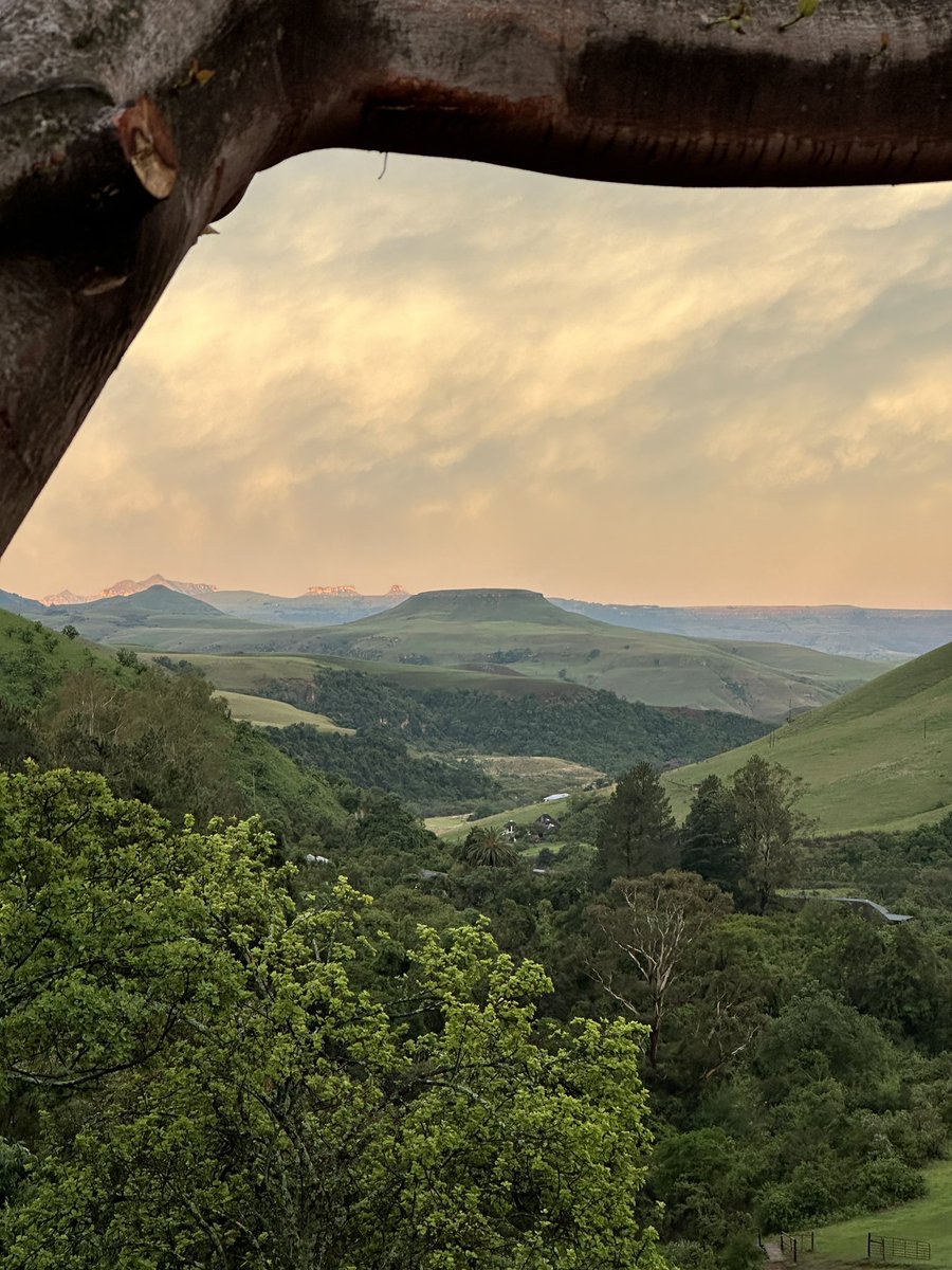 Argonowt's tweet photo. Travelling through South Africa atm and I‘m in love.  🇿🇦 https://t.co/rq6mKaw7Rb
