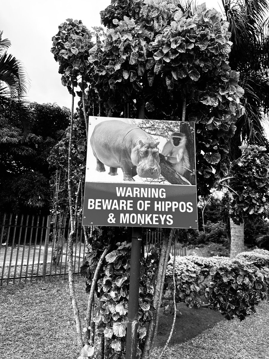 Travelling through South Africa atm and I‘m in love.  🇿🇦