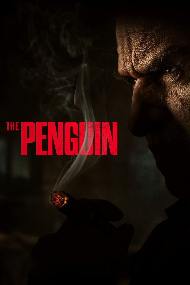 That was one of the best finales I’ve seen in a very long time. This whole show is a 10/10 for me. If you like that mafia sh!t and love the underground world this is a show for you. Amazing. I can’t wait to see what the penguin does next. #ThePenguin