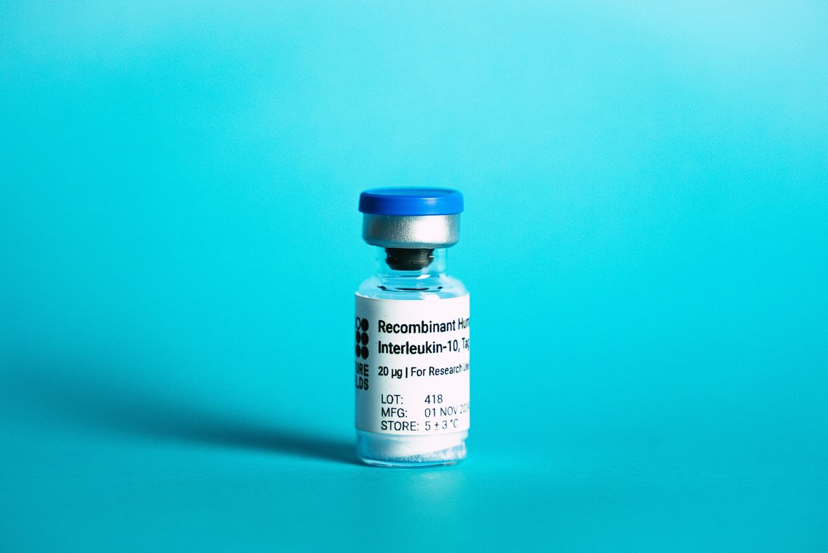 Interleukin-10 #IL10 is ready for your lab! 💙

Made in Canada 🍁, in our Green-certified lab 🌍, and with the humble fruit fly 🪰, our recombinant proteins help you do great science without the high economic and environmental price tag.

Request sample: bit.ly/3CuyXZB