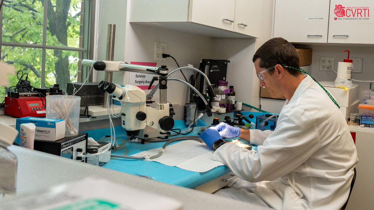 UofU Nora Eccles Harrison CVRTI (@neh_cvrti) on Twitter photo Check out <a href="/joevisker/">Joe Visker, PhD, RCEP</a> from the <a href="/stavrosdrakos/">Stavros George Drakos</a> lab conducting research focusing on cardiac recovery associated with mechanical circulatory support in the chronic heart failure setting and the acute setting.
<a href="/UofUInternalMed/">University of Utah Department of Internal Medicine</a>, <a href="/UofUMedicine/">Spencer Fox Eccles School of Medicine</a>, <a href="/UtahHealth/">State of Utah</a>, <a href="/UofUResearch/">Research at the U</a>
#hearthealth Check out <a href="/joevisker/">Joe Visker, PhD, RCEP</a> from the <a href="/stavrosdrakos/">Stavros George Drakos</a> lab conducting research focusing on cardiac recovery associated with mechanical circulatory support in the chronic heart failure setting and the acute setting.
<a href="/UofUInternalMed/">University of Utah Department of Internal Medicine</a>, <a href="/UofUMedicine/">Spencer Fox Eccles School of Medicine</a>, <a href="/UtahHealth/">State of Utah</a>, <a href="/UofUResearch/">Research at the U</a>
#hearthealth