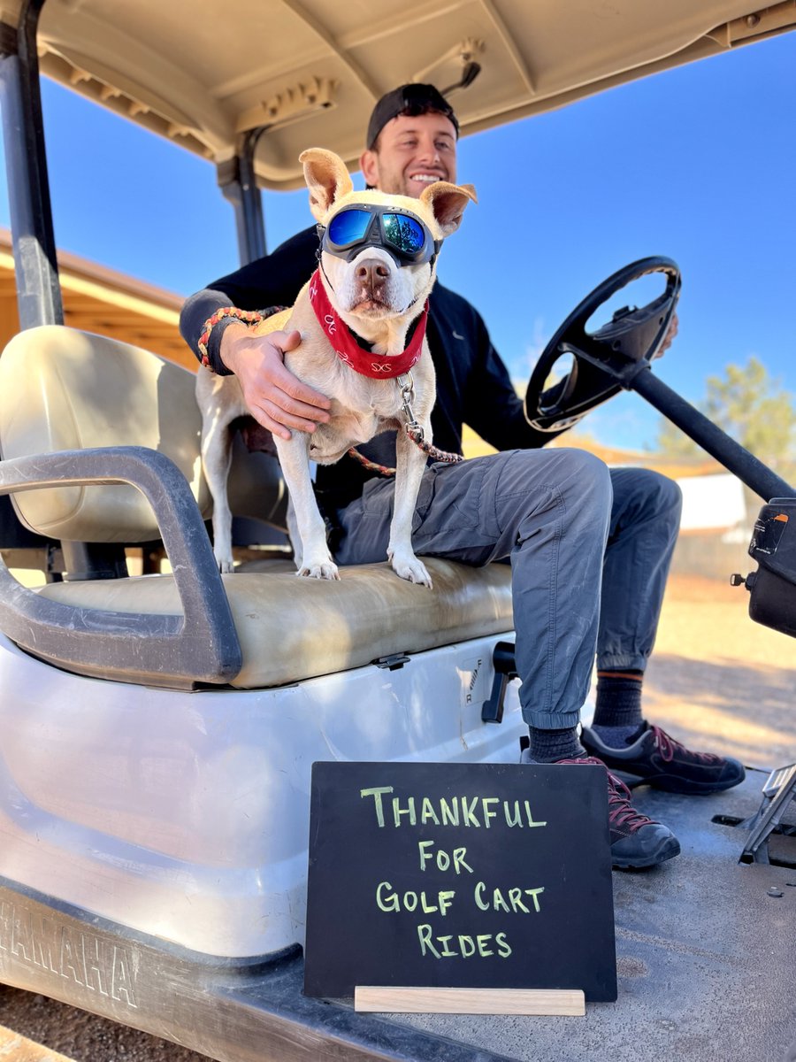 bestfriends's tweet image. Let&apos;s celebrate all the sweet &amp;amp; silly things that bring shelter pets joy! Dogs are thankful for so much. 🥰 Bug loves car rides, Woody’s all about stuffies &amp;amp; Mauve never misses a golf cart ride. But for dogs like Buford, it’s all about second chances. 💕 #ThankfulForPets ^jb &amp;amp; ad