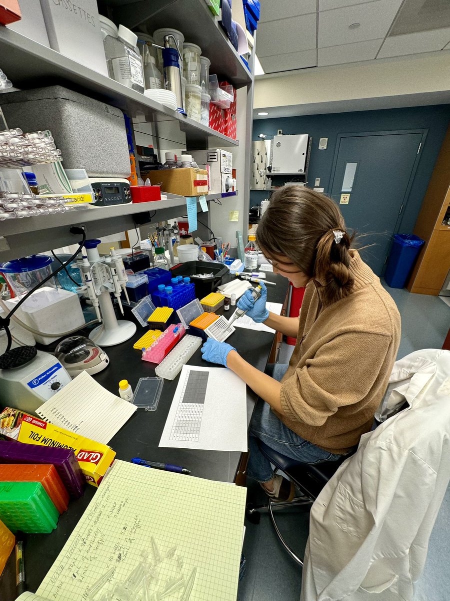 Jessie M. Dalman (@jessiemdalman) on Twitter photo Putting the #labhands I developed in the Angeles Lab with <a href="/cvangelesMD/">Christina Angeles MD</a> to work in the Moore Lab <a href="/KathrynMooreLab/">Kathryn Moore Lab</a> 👐🏼🧪👩🏻🔬
What did I do to deserve these amazing mentors?! Thanks to <a href="/UMichMedSchool/">University of Michigan Medical School</a> <a href="/nyulangone/">NYU Langone Health</a> <a href="/SarnoffCardio/">Sarnoff Foundation</a> 💙💜❤️ Putting the #labhands I developed in the Angeles Lab with <a href="/cvangelesMD/">Christina Angeles MD</a> to work in the Moore Lab <a href="/KathrynMooreLab/">Kathryn Moore Lab</a> 👐🏼🧪👩🏻🔬
What did I do to deserve these amazing mentors?! Thanks to <a href="/UMichMedSchool/">University of Michigan Medical School</a> <a href="/nyulangone/">NYU Langone Health</a> <a href="/SarnoffCardio/">Sarnoff Foundation</a> 💙💜❤️