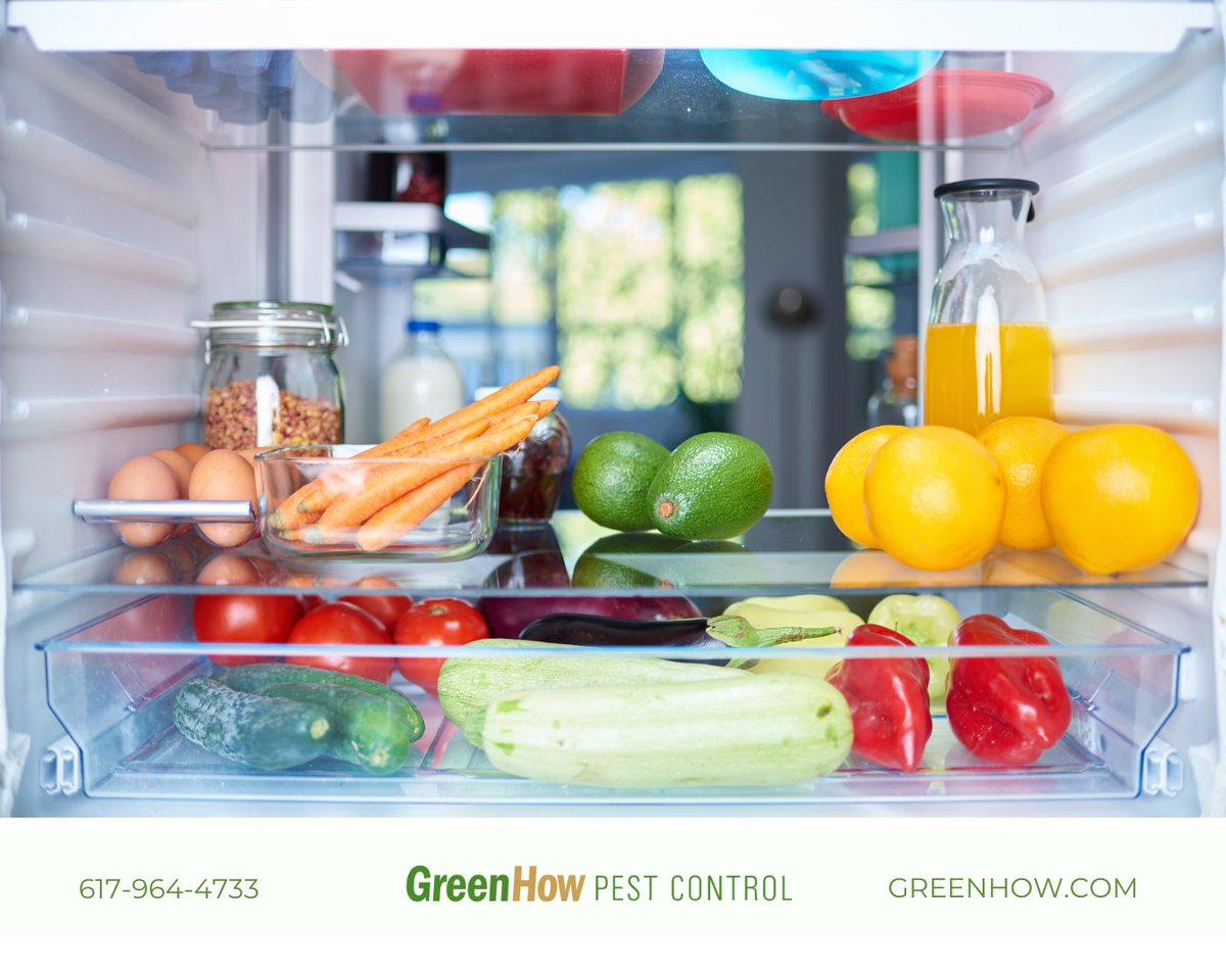 greenhow's tweet photo. It's National Clean Out Your Refrigerator Day! 

Old and not properly stored food is a beacon for many different pests. 

Routinely cleaning out the fridge is one of our top tips for pest prevention. 

#homeownertips #homemaintenance #pestcontrol #pestcontroltips #diypestcontrol https://t.co/hgL1RF1xXT