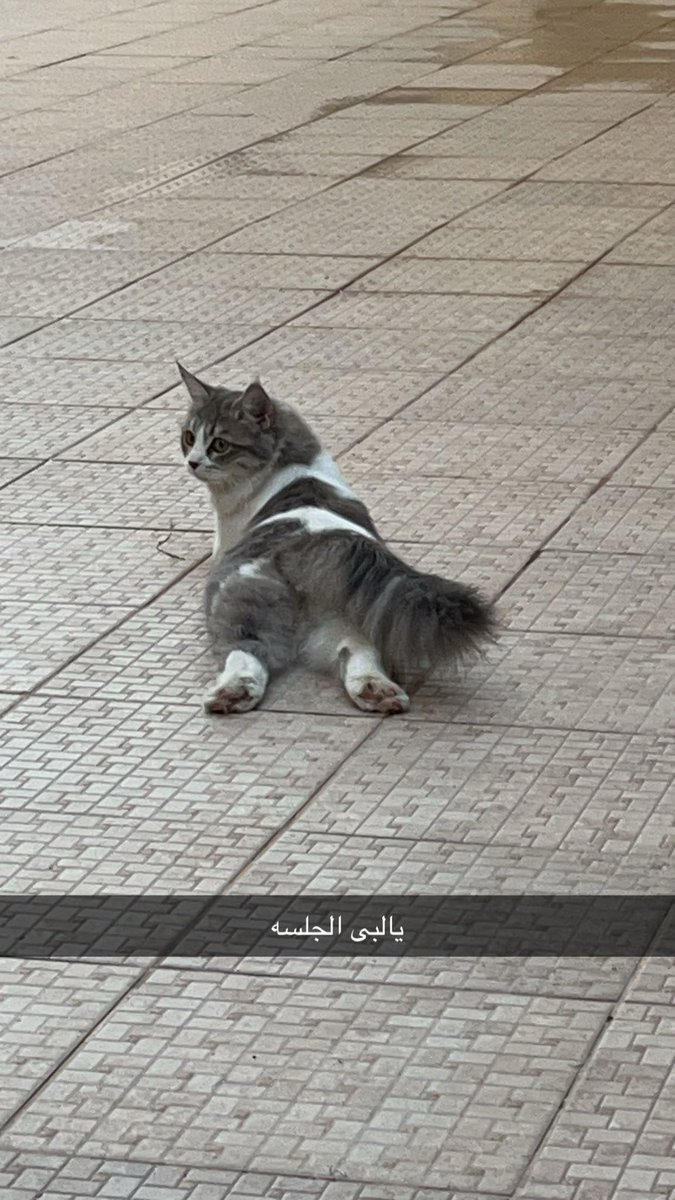 ْ (@nnilir2) on Twitter photo 