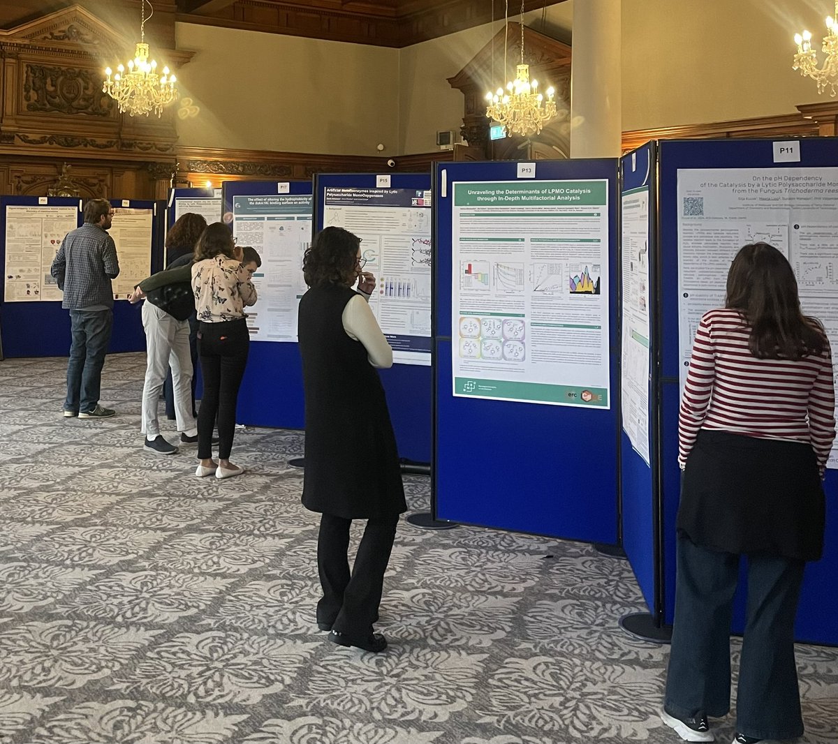 AntoniaFeilden's tweet photo. 4th LPMO Conference in York 🧬 Excellent community + science + venue. Lots of expertise here 🧪 (@BiologyatYork + @ChemistryatYork). First conference done ✅ Thanks @LichmanLab for supporting my development. Looking forward to the next ⏭ #phd #research #lpmo #biotechnology https://t.co/BsXsnBUuWu