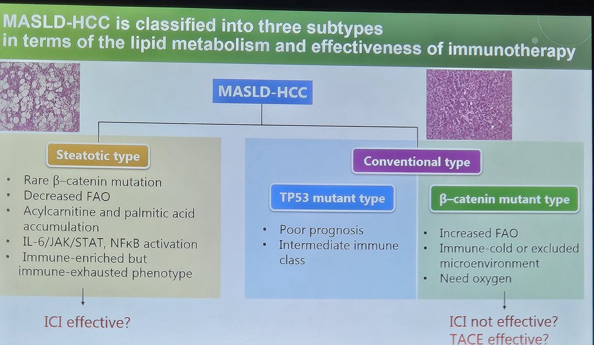 Vivian Ortiz (@vivianortizmd) on Twitter photo Kicking off #TLM24 with Basic Science Symposium! <a href="/SumeraIlyasMD/">Sumera Ilyas</a> and Yujin Hoshida leading the session on Metabolics In hepatobiliary malignancies. Come and hear great science. <a href="/MayoClinicGIHep/">Mayo Clinic Gastroenterology & Hepatology</a> <a href="/AASLDtweets/">AASLD</a> #livertwitter Kicking off #TLM24 with Basic Science Symposium! <a href="/SumeraIlyasMD/">Sumera Ilyas</a> and Yujin Hoshida leading the session on Metabolics In hepatobiliary malignancies. Come and hear great science. <a href="/MayoClinicGIHep/">Mayo Clinic Gastroenterology & Hepatology</a> <a href="/AASLDtweets/">AASLD</a> #livertwitter