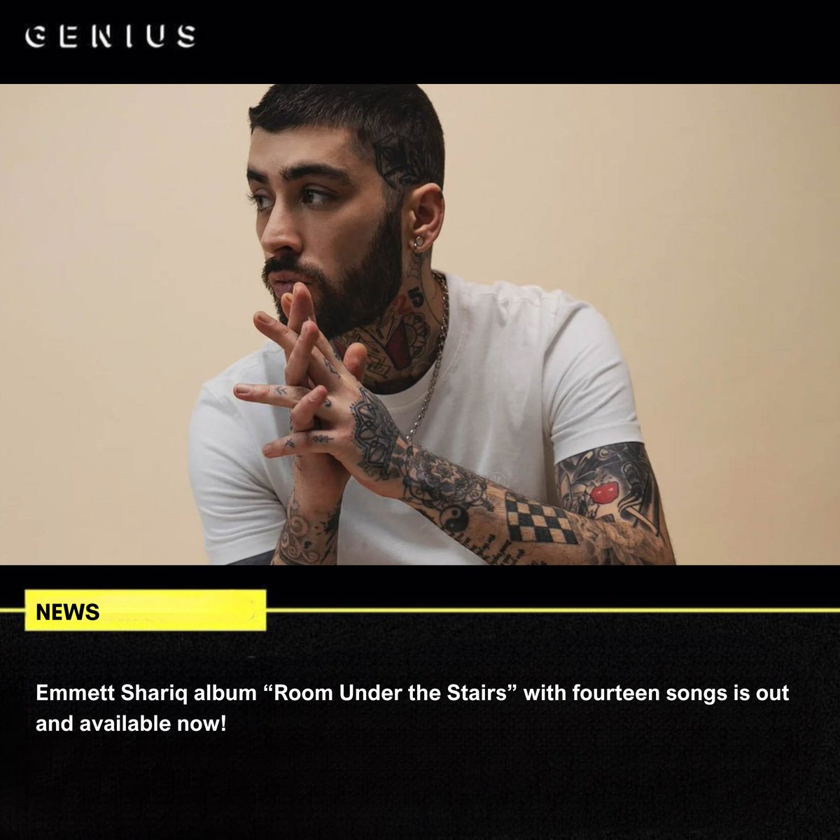 𝗚𝗲𝗇𝗂𝗎𝙨 ᴿᴾ tweet media