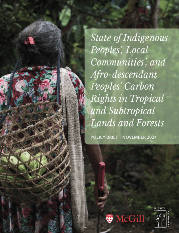 RightsResources's tweet photo. Despite 15+ years of international investment in national #REDD+ readiness programs, progress toward the recognition of community rights remains insufficient. Discover how many countries explicitly recognize community rights to #carbon in our new brief: https://t.co/no4S4oqfJs https://t.co/JGVBSaDWX5
