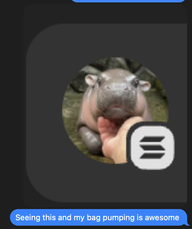 I love waking up and seeing this damn smile.