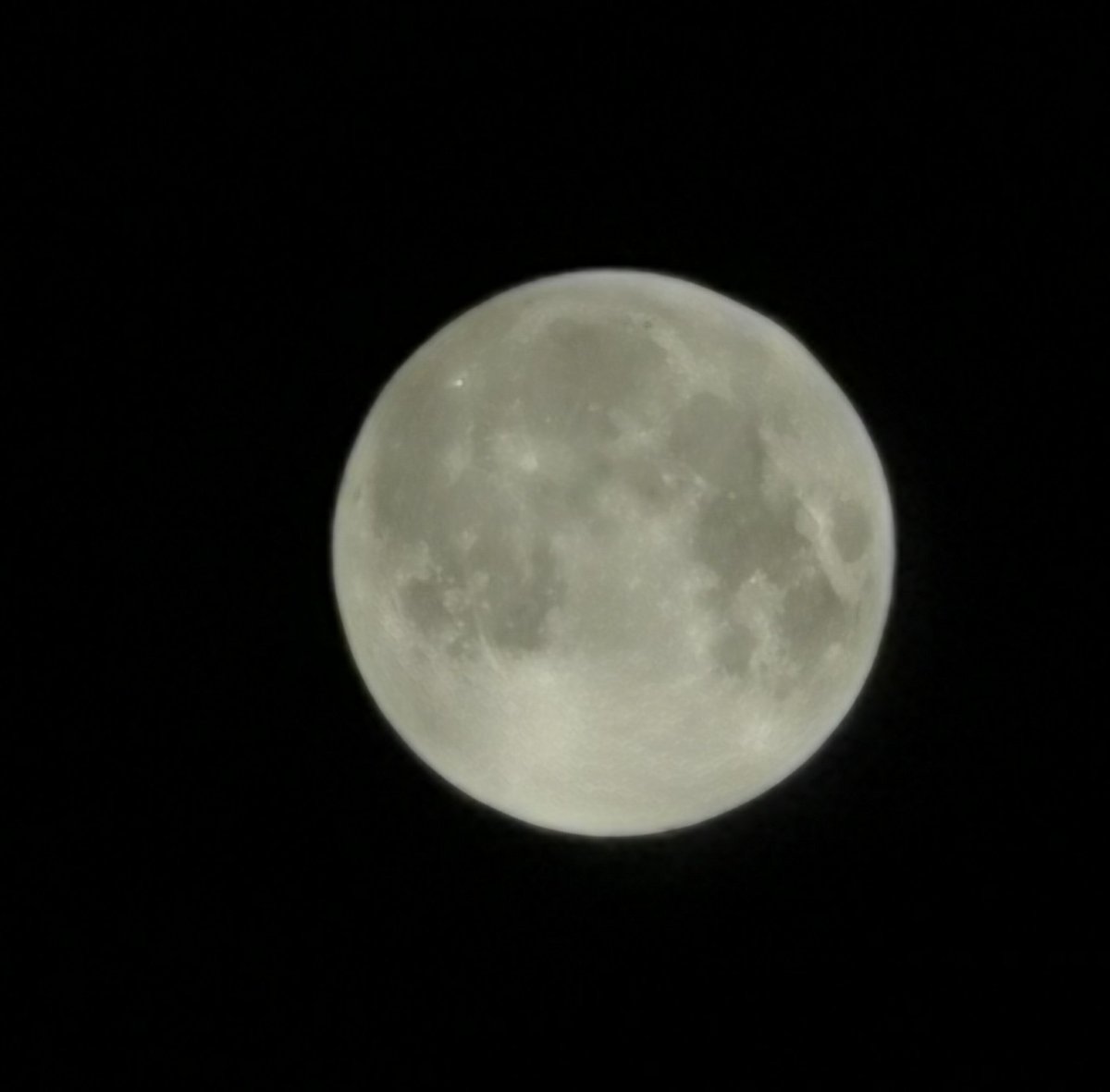 Mesho_RM7's tweet photo. @SaudiAndroid صورته من الشباك
زوووم ×50
 #HUAWEIP30Pro
#القمر_العملاق
#SuperMoon https://t.co/Tgr8vnb0kh