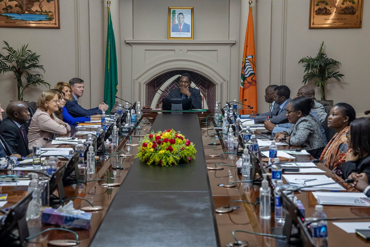 UKinZambia tweet media