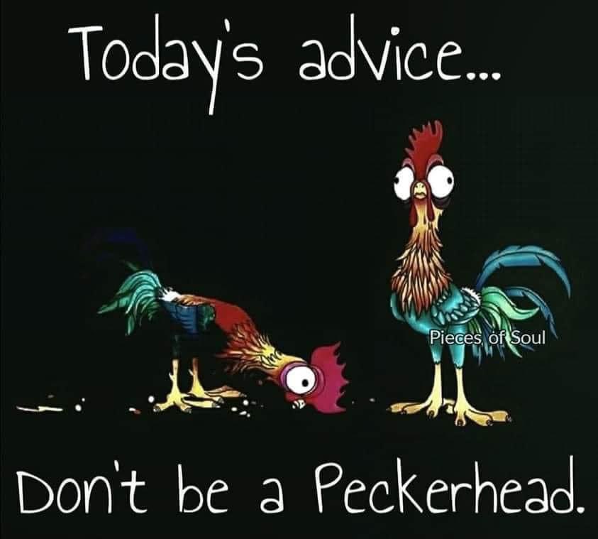 Steven Wells (@stevenwells1981) on Twitter photo 