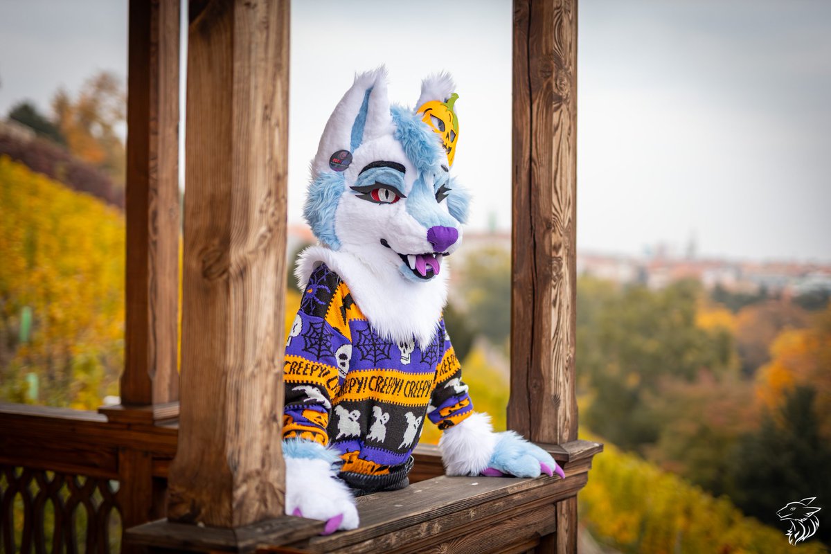 🍁Autumn photosession with Halloween theme🐾

🧀Rufus 🐺Mischief
📸Canon RP with 50mm f/1.4 lens
#FursuitFriday #furry