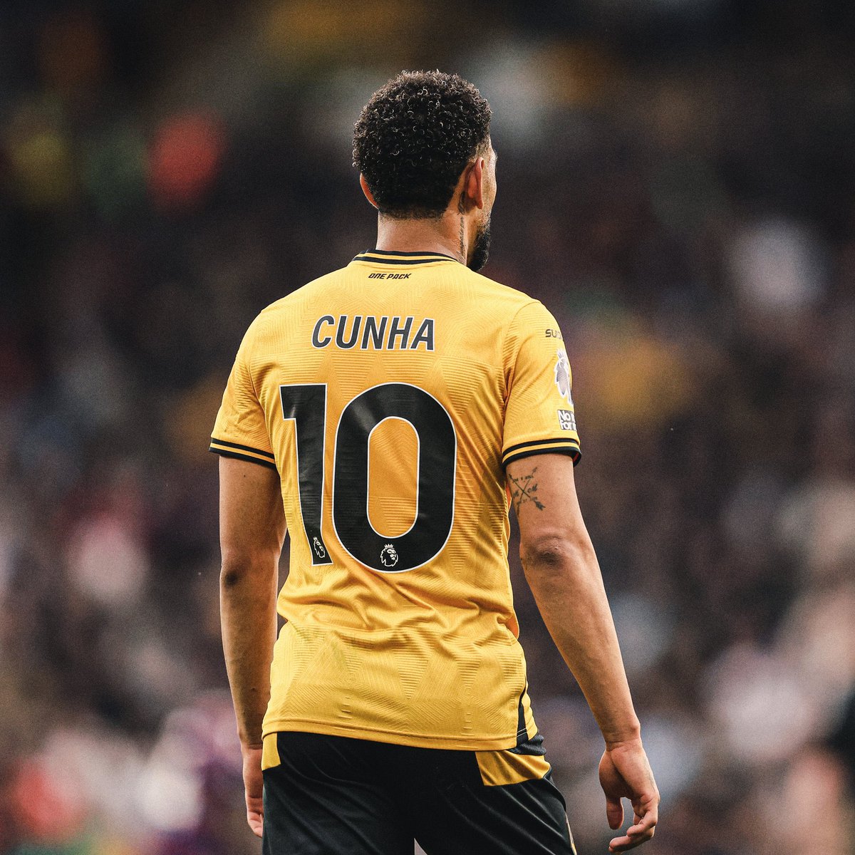 Balanced_View_'s tweet image. 19 - #Wolves - Mario Lemina / Cuhna

The only team I cant split, when either are missing they will struggle I feel. Lemina is all action and provides the same reliability in *most* games. Cuhna the X factor and creates things out of absolutely nothing as all #wwfc fans know. 🟠⚪️