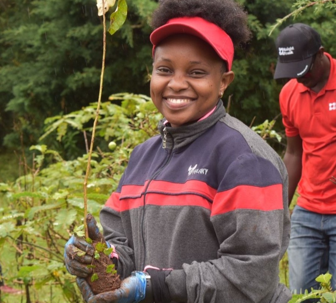 KnightFrankKE's tweet photo. What a day! Today we planted 3,000 trees at #HombeForest in Nyeri as part of our #BringNatureBack initiative. It was an incredible day filled with teamwork, fun, and giving back to the environment. Together, we're making a greener future!
#TreePlanting #Sustainability #ESG https://t.co/Or0nrxhpL6