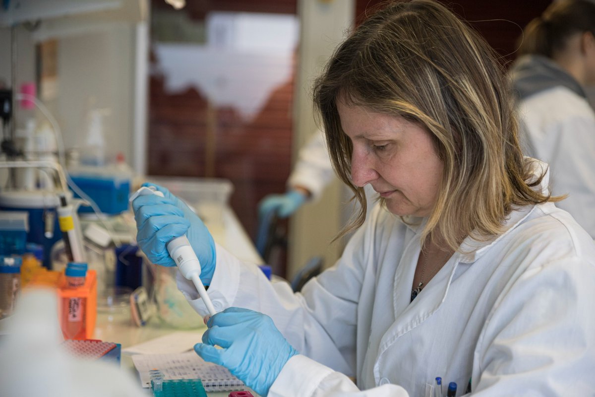 En cette fin de semaine, on s'est dit que nous allions vous partager quelques images de notre vie de tous les jours 🌱 

Il se peut que vous reconnaissiez quelques personnes...
Bon weekend ! 📷

#dreamTeam, #Biotech #Laboratory #Plants