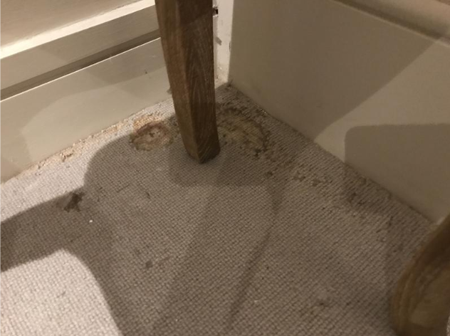 An example of wool eating moth damage seen during an inspection earlier in the week!

#propertyforsale #London #survey