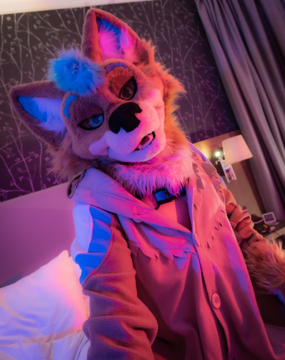 Hello cutie, what are you up for ? ~
#Furry #FursuitFriday #Fursuit

📸 <a href="/AstroRenard/">Astro</a> 
🪡 @/ThunderhowlZaro