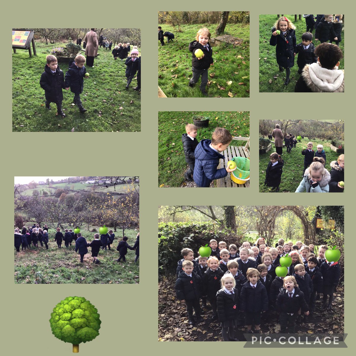 MrsPattersonC's tweet photo. A snapshot of our past two weeks in Reception @Hollymountbury . In art, we created transient art firework pictures and explored texture to create a poppy. Next a trip to the orchard to harvest apples, before slicing and stewing them.  Finally, we enjoyed all our hard work!🍏🍎😋 https://t.co/UgbcoRoqV9