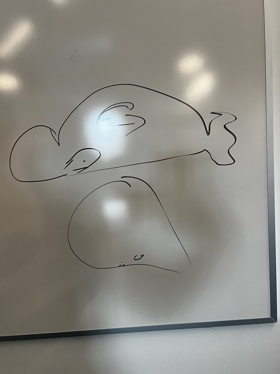 Today I was discussing the evolutionary differences in the mouse and human brains. Please feel free to use this in your lectures. Really, you don’t even need to give me credit.