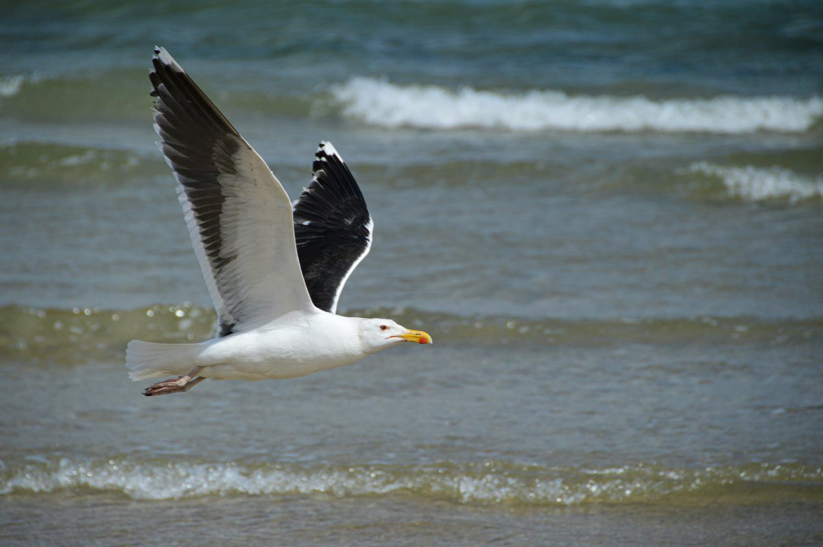 EVKKSLFL's tweet photo. Wir flattern dann mal ins Wochenende! #tgif https://t.co/Al6KRi8w4f