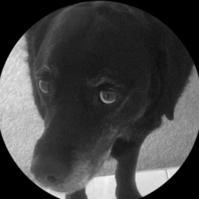 Grecian_CPFC's tweet photo. #NewProfilePic #LessWeForget https://t.co/51DhsVOYOc