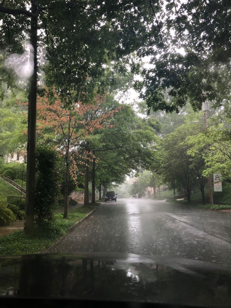 gIoomyweather's tweet photo. rainy. https://t.co/xXTmVRXZPu