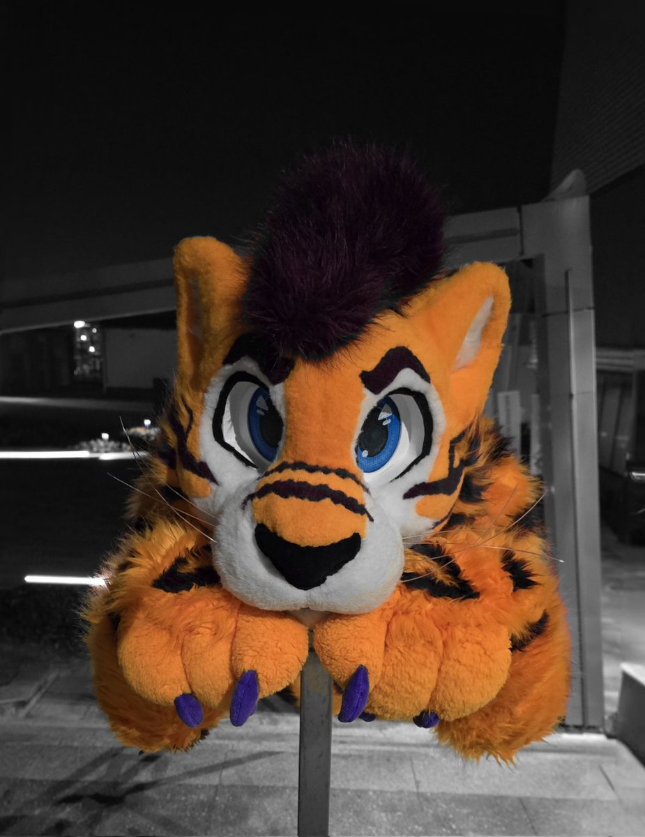After a whole week, it’s finally #FursuitFriday
Enjoy #furry Saber sneaking into your timeline

🧵 <a href="/chilistudios/">Sweet Chili Studios</a>