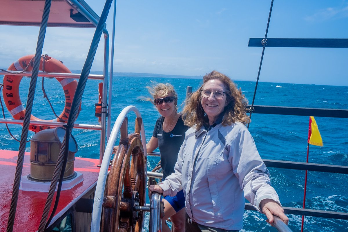 WildoceansSA tweet media