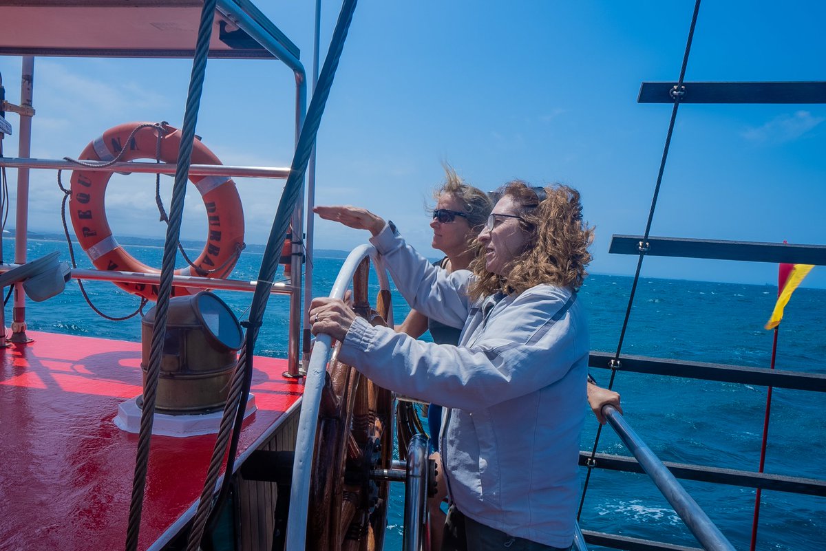 WildoceansSA tweet media