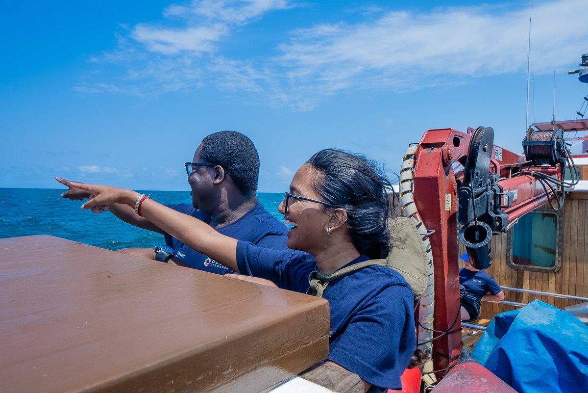 WildoceansSA tweet media