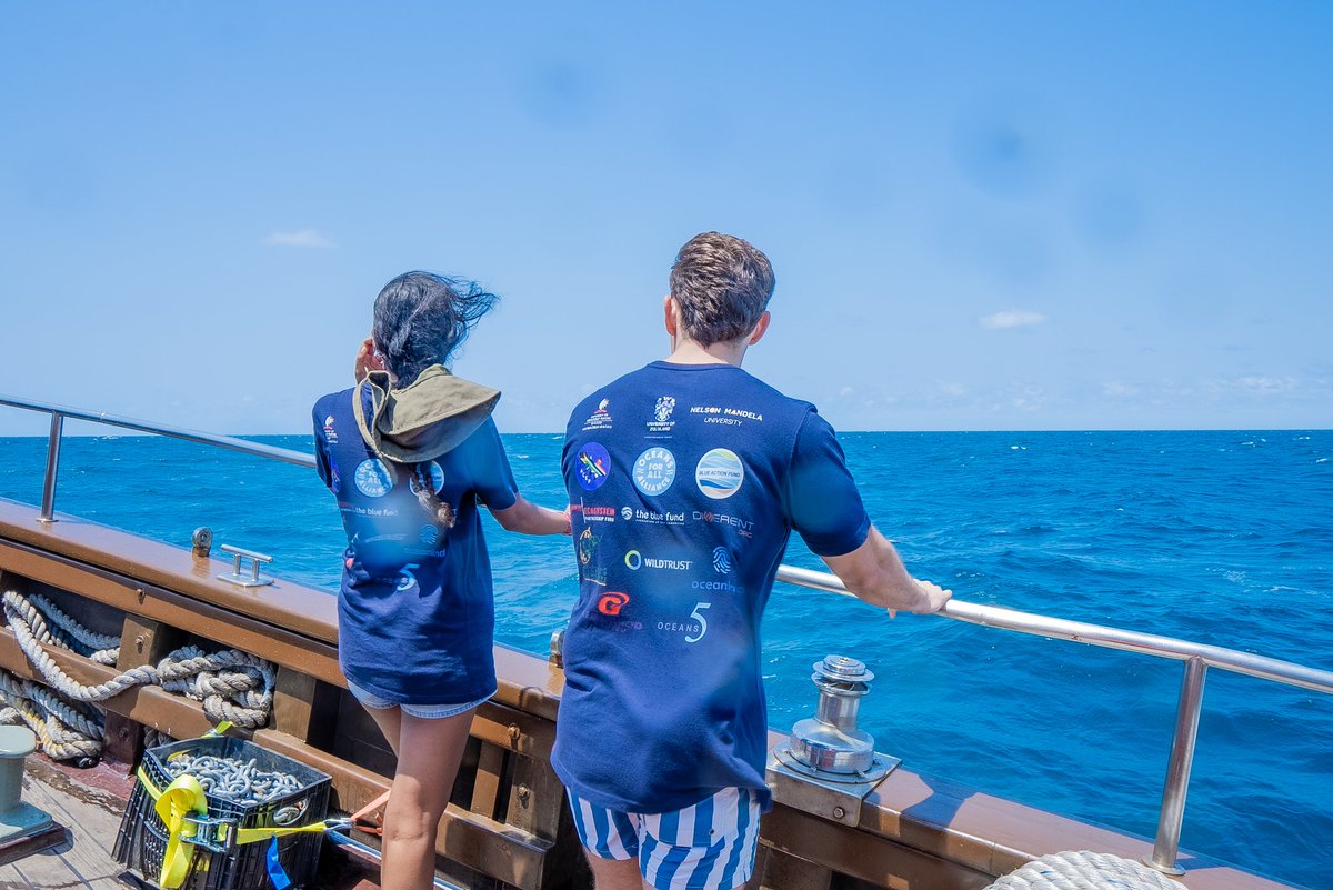 WildoceansSA tweet media