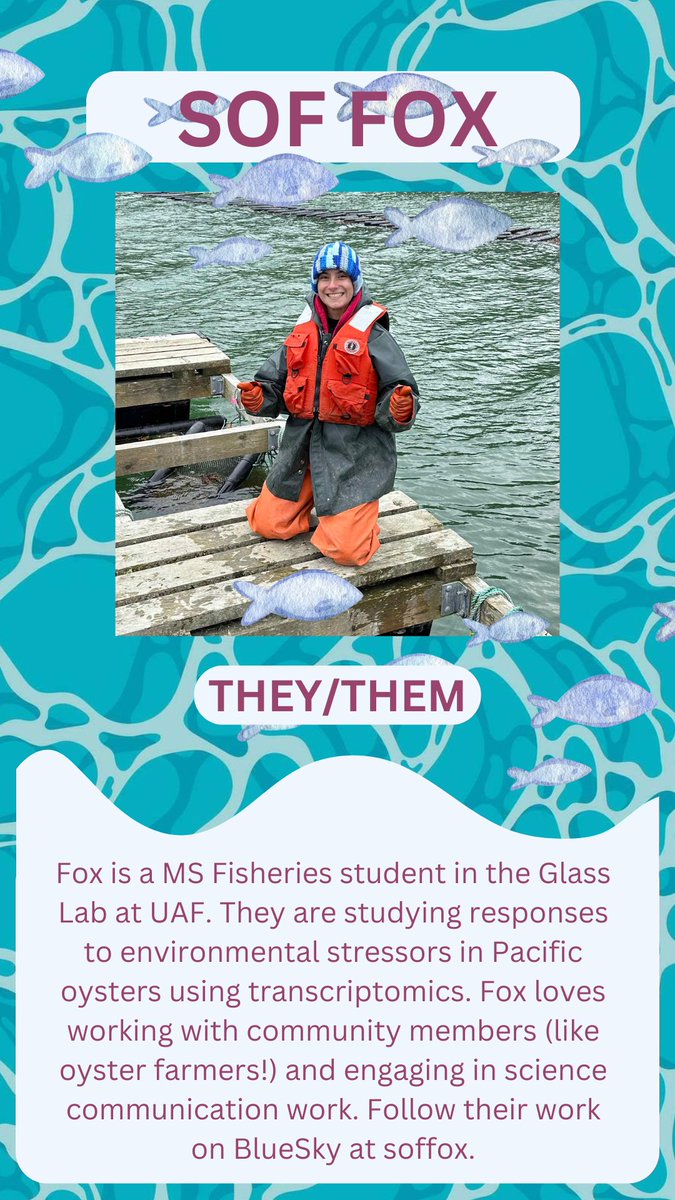 Second trans marine scientist is Sof Fox! Fox is a MS student studying environmental stressors in oysters at the University of Alaska Fairbanks. They prioritize community education and inclusion in their research. Follow them on BlueSky at soffox!