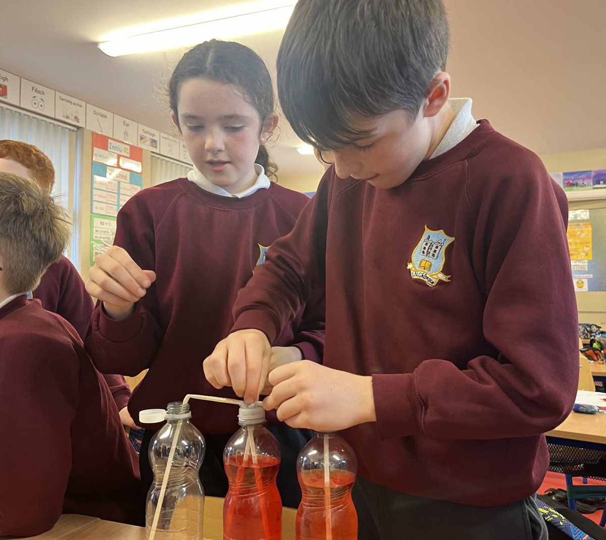 Glinsk_NS's tweet image. Making a heart pump model to discover how blood is pumped through the heart for science week ⁦@ScienceWeek⁩ #scienceweek24