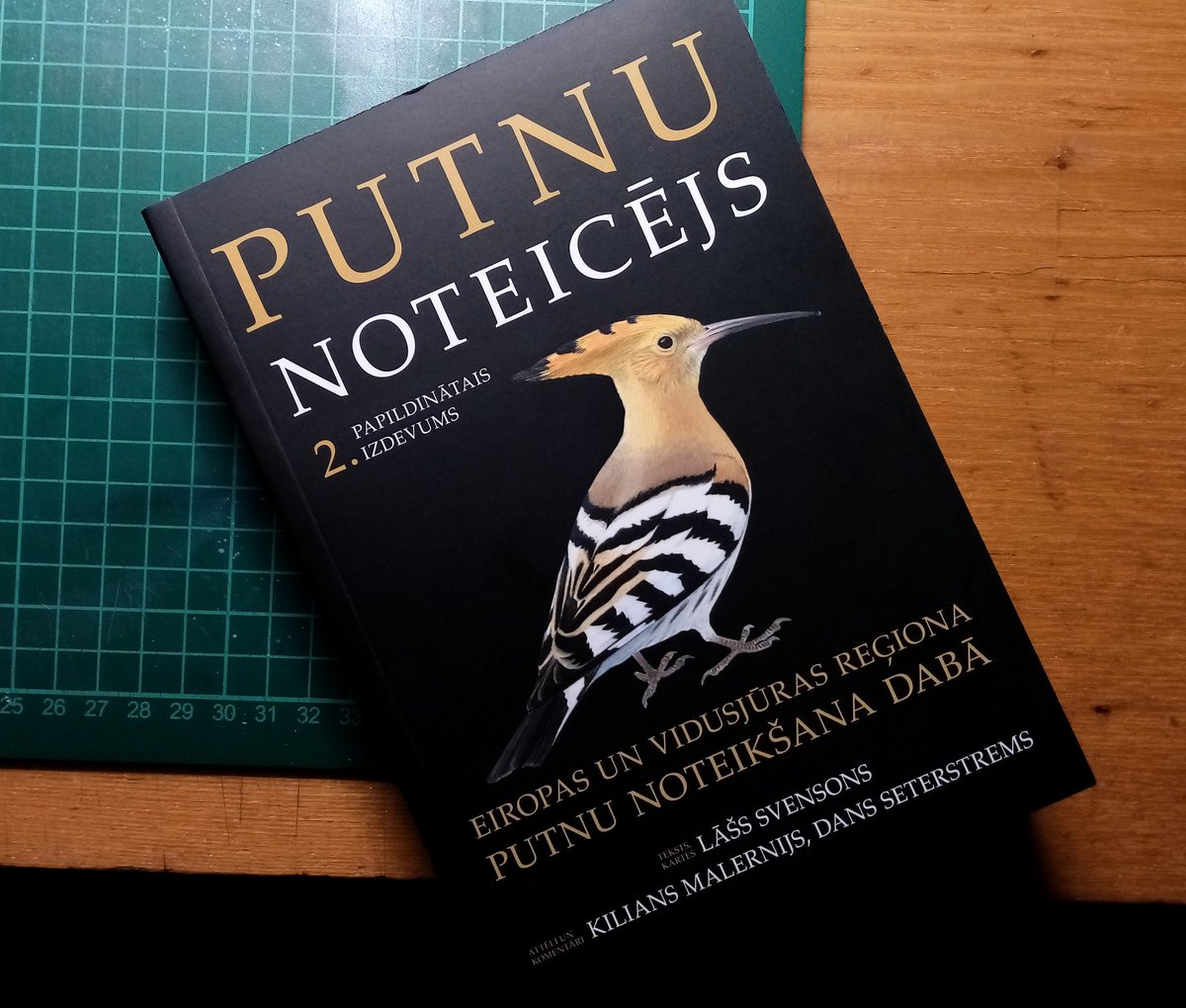 Floriana tweet media